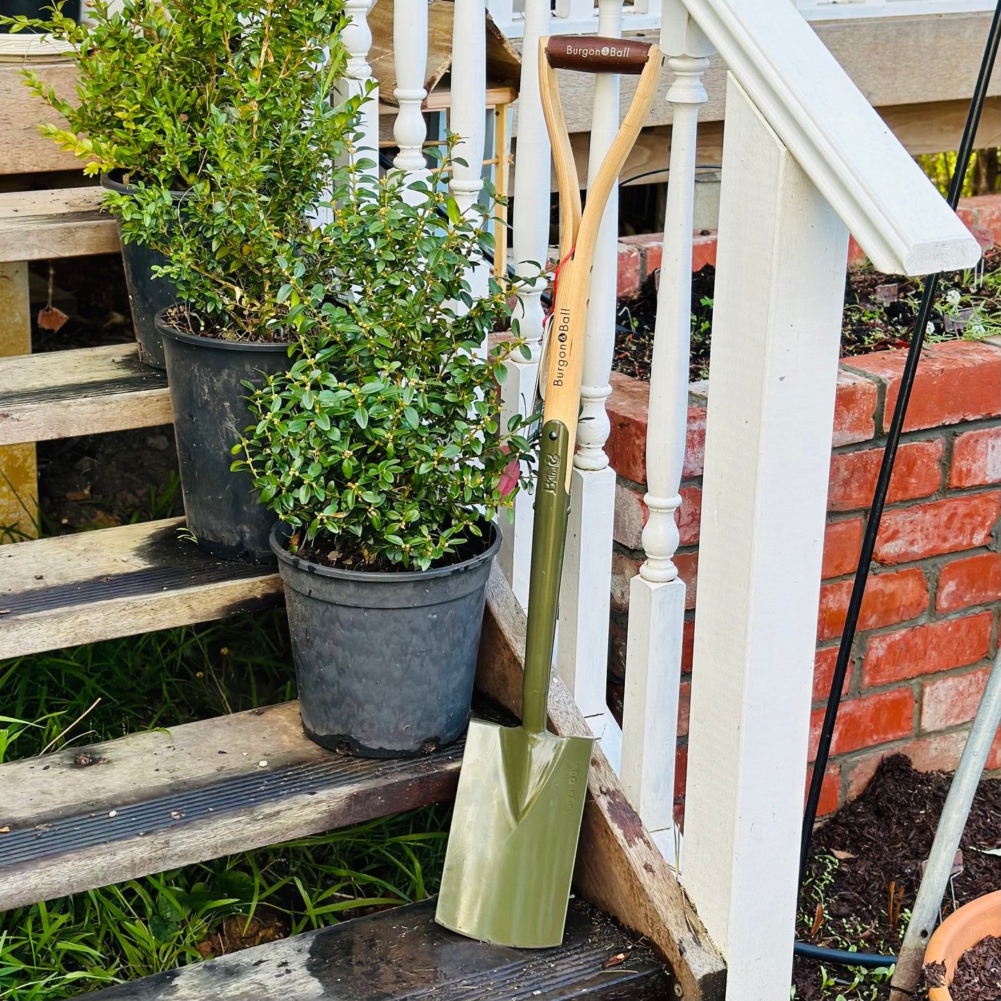 Burgon and Ball RHS BoronGreen Border Spade - Ballarat Delivery Only