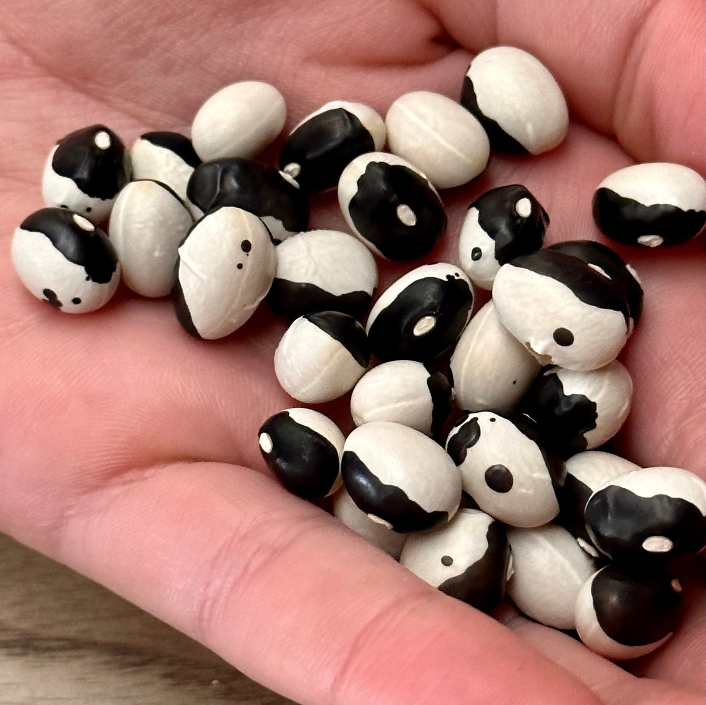 Bush Bean 'Yin Yang' Seeds