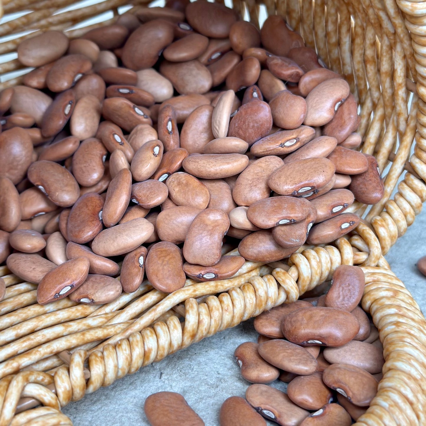 Climbing Bean 'Purple King' Seeds