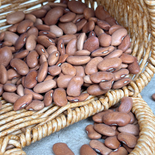 Climbing Bean 'Purple King' Seeds