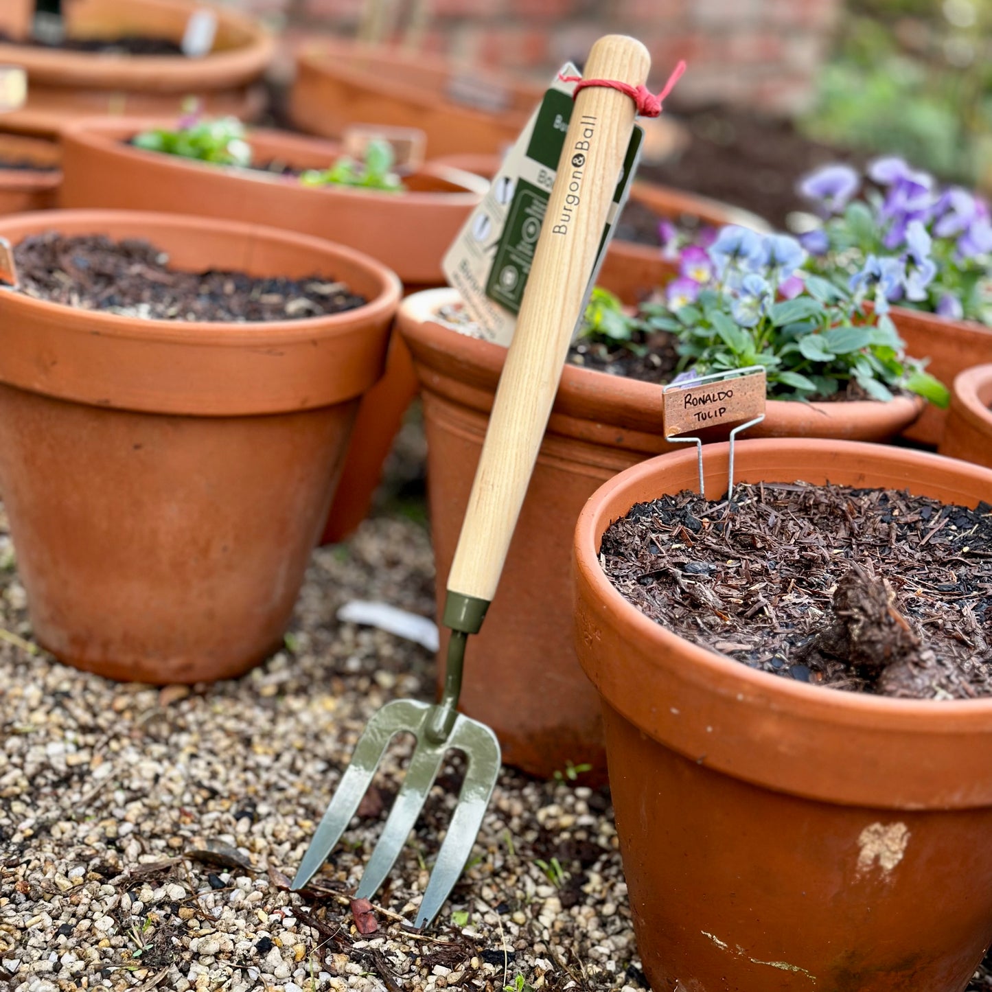 Burgon and Ball RHS BoronGreen Mid Handled Fork - Ballarat Delivery Only