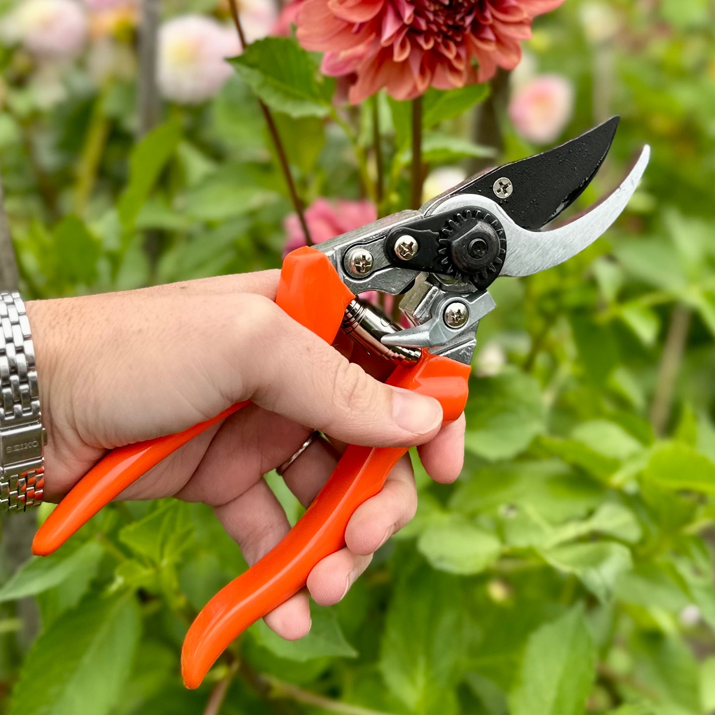 Burgon and Ball RHS LEFT-HANDED Bypass Secateur