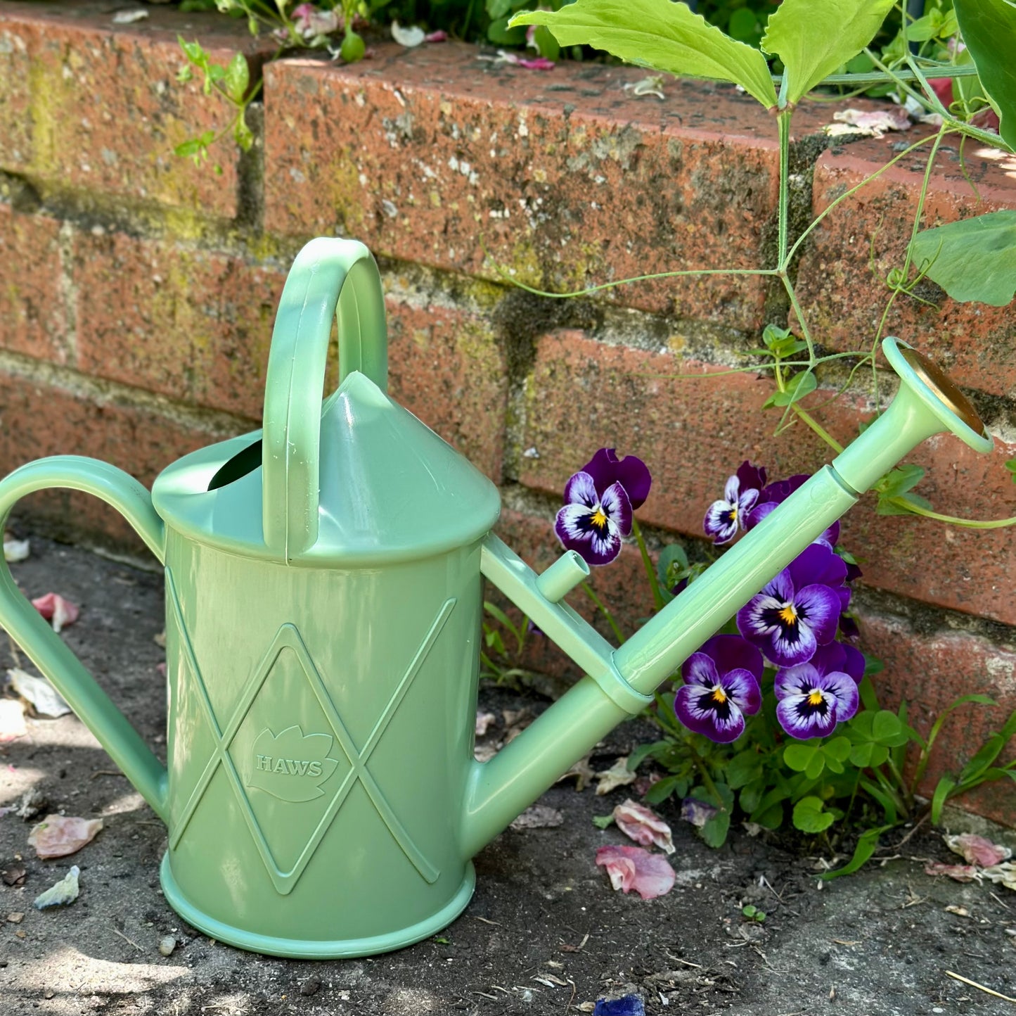 Haws Plastic Heritage Watering Can "The Bartley Burbler" Two Pint