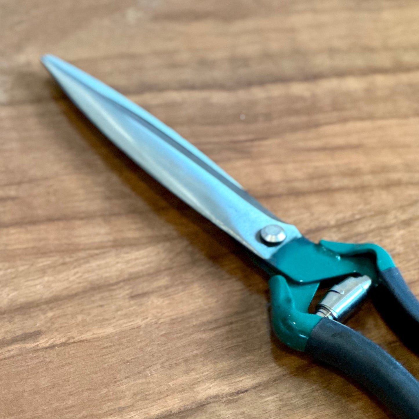 Burgon & Ball RHS Stainless Steel Shrub Shear