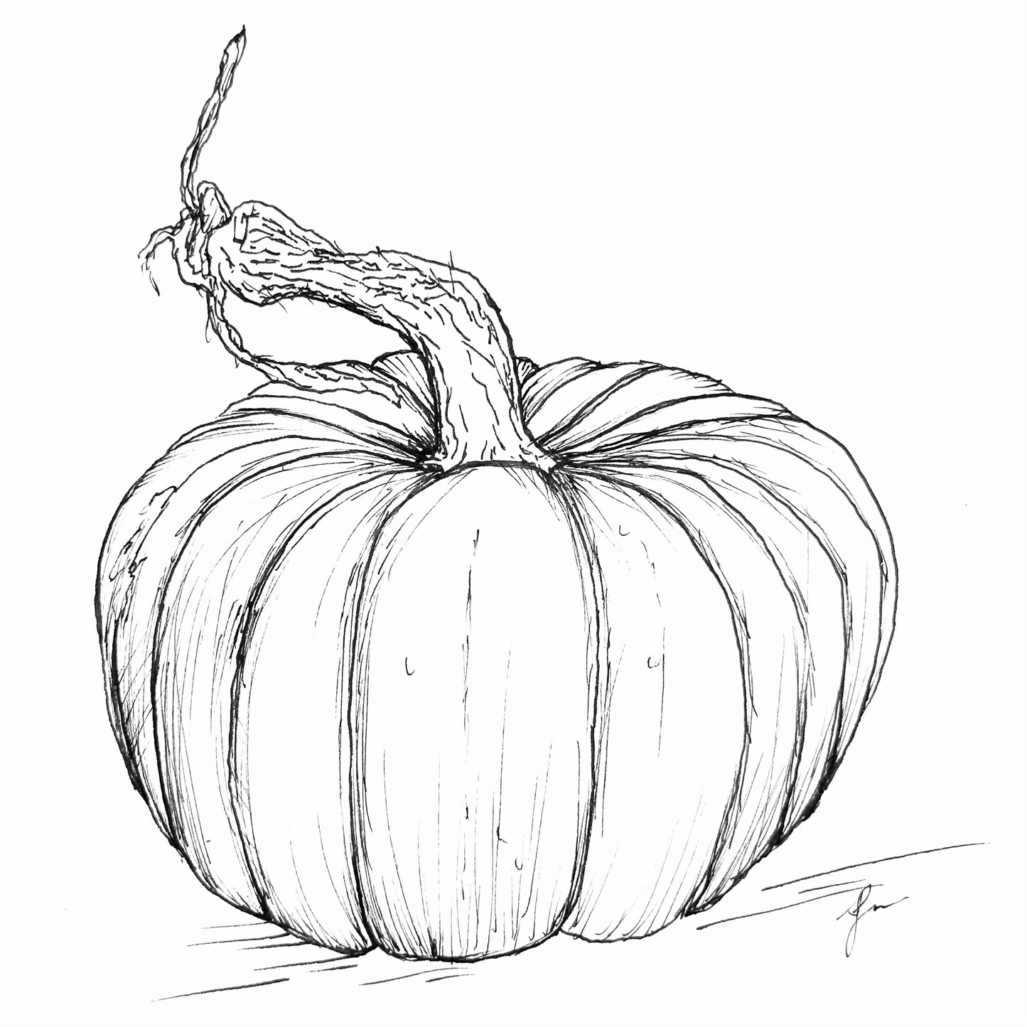 Pumpkin 'Queensland Blue’ Seeds