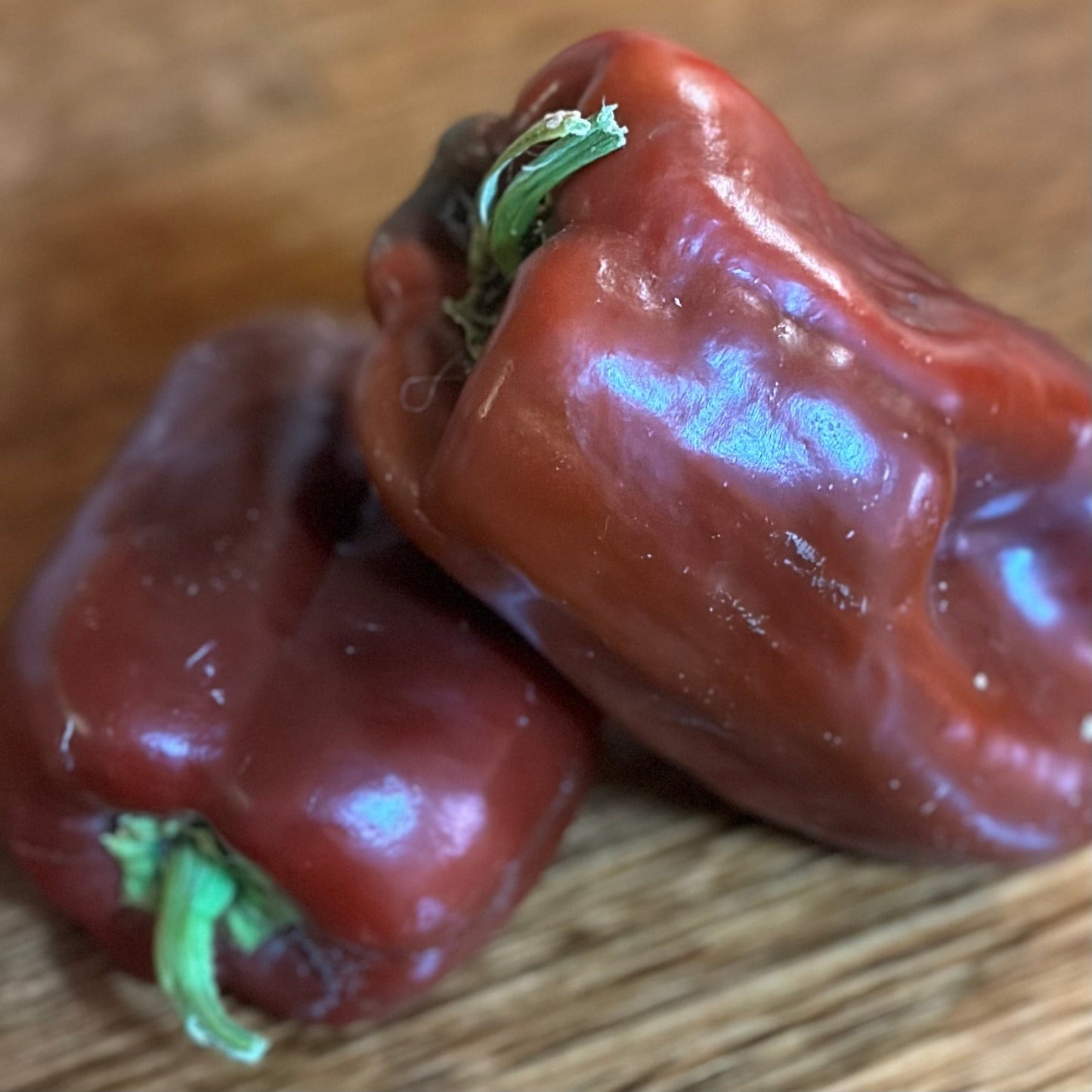 Capsicum 'Chocolate Beauty' Seeds - Hollyhock Hill