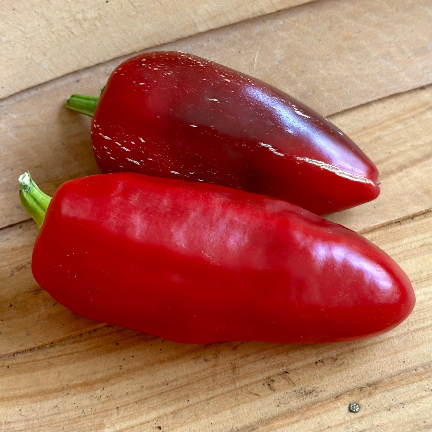 Capsicum 'Lipstick' Seeds - Hollyhock Hill