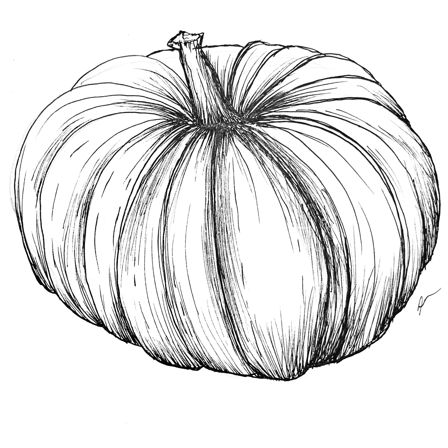 Pumpkin 'Cinderella' Seeds - Hollyhock Hill