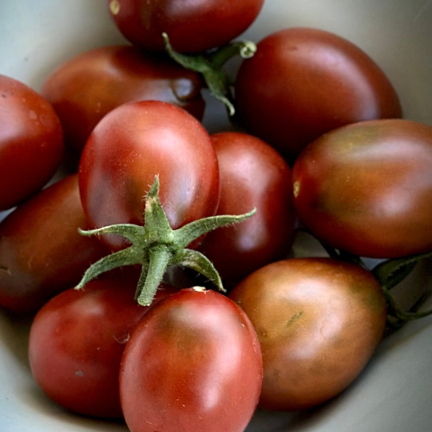 Tomato 'Black Plum' Seeds - Hollyhock Hill