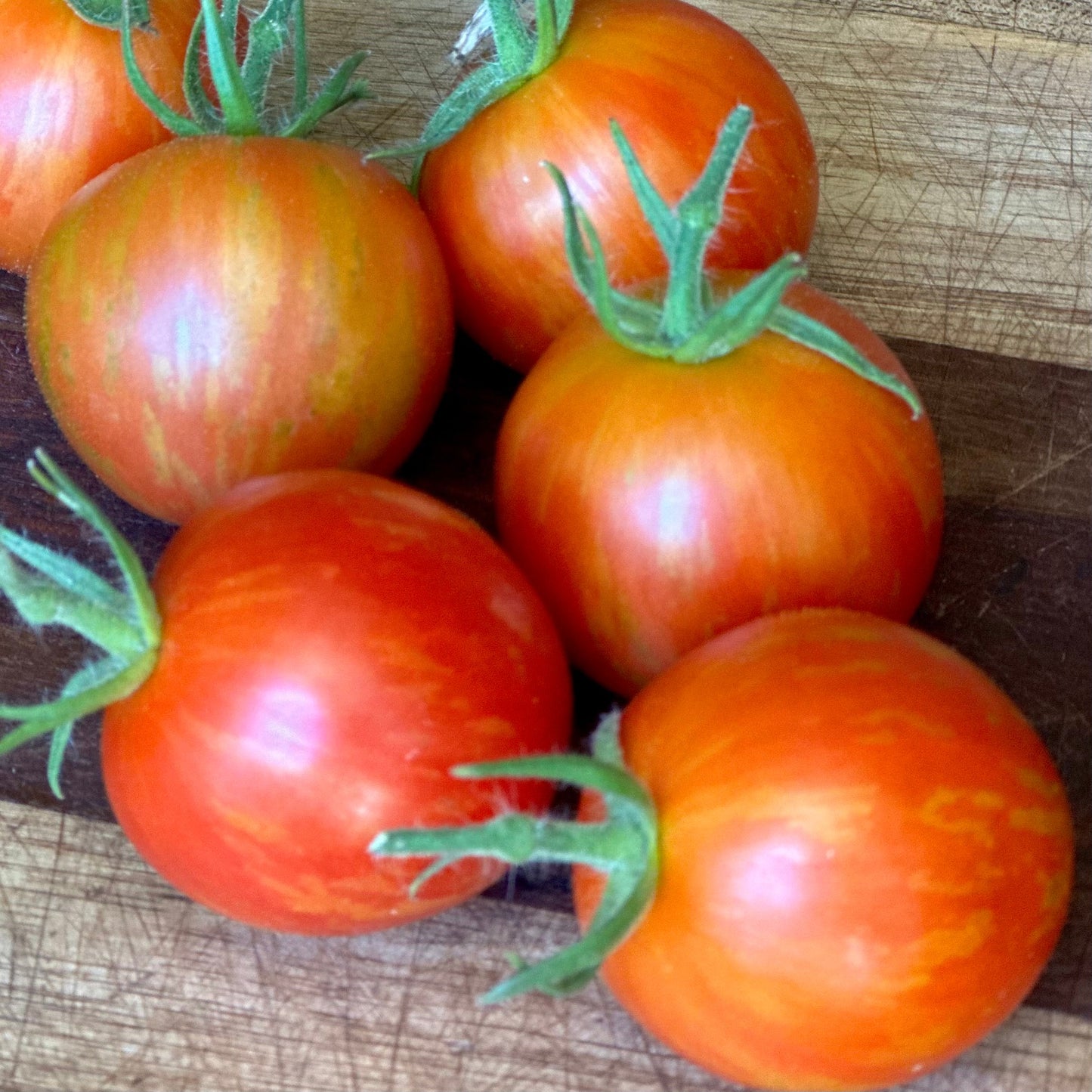 Tomato 'Tigerella' Certified Organic Seeds - Hollyhock Hill