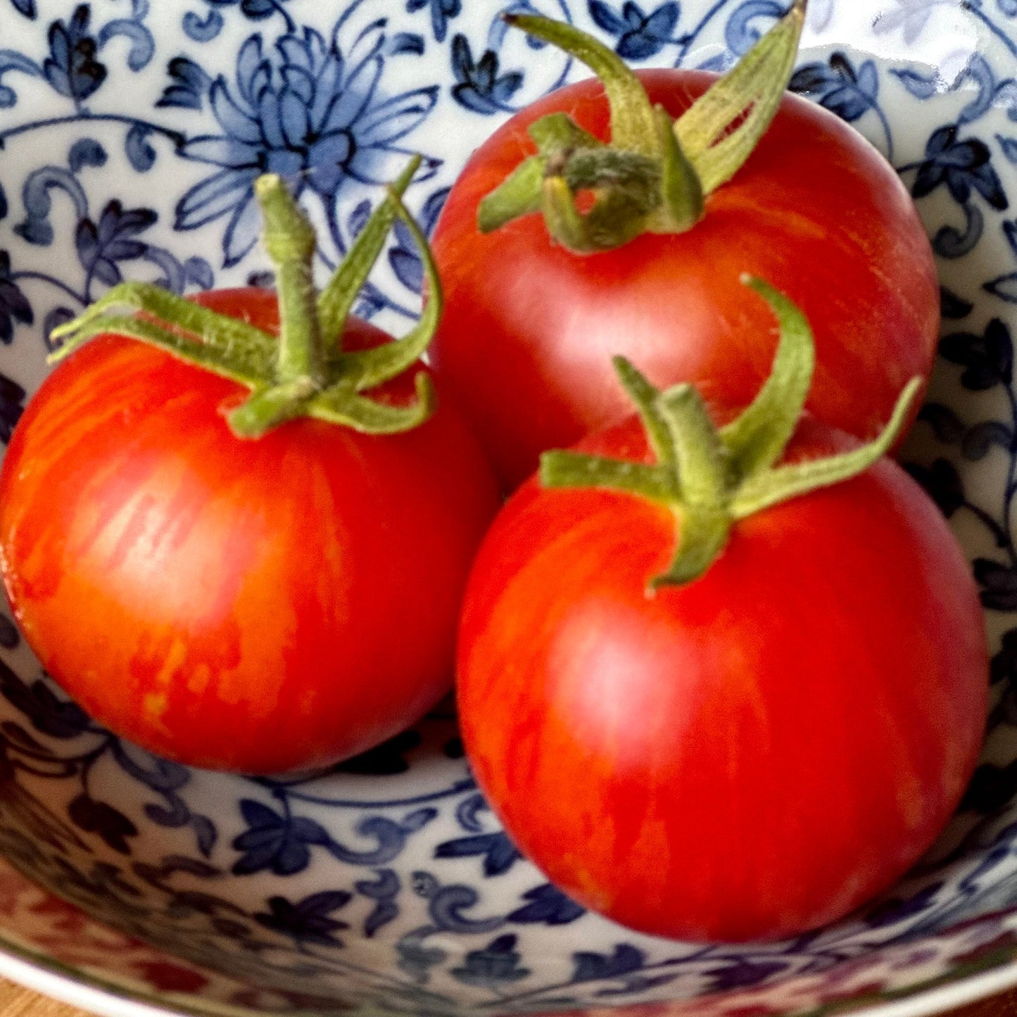 Tomato 'Tigerella' Certified Organic Seeds - Hollyhock Hill