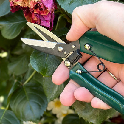 Burgon & Ball RHS Ergo Deadheader