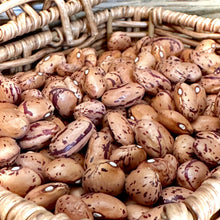 Load image into Gallery viewer, Borlotti Bean &#39;Red Rooster’ Seeds
