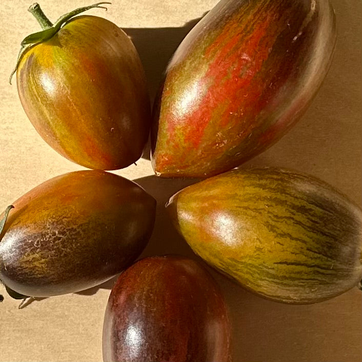 Tomato 'Cosmic Purple’ 25 Seeds COMING SOON