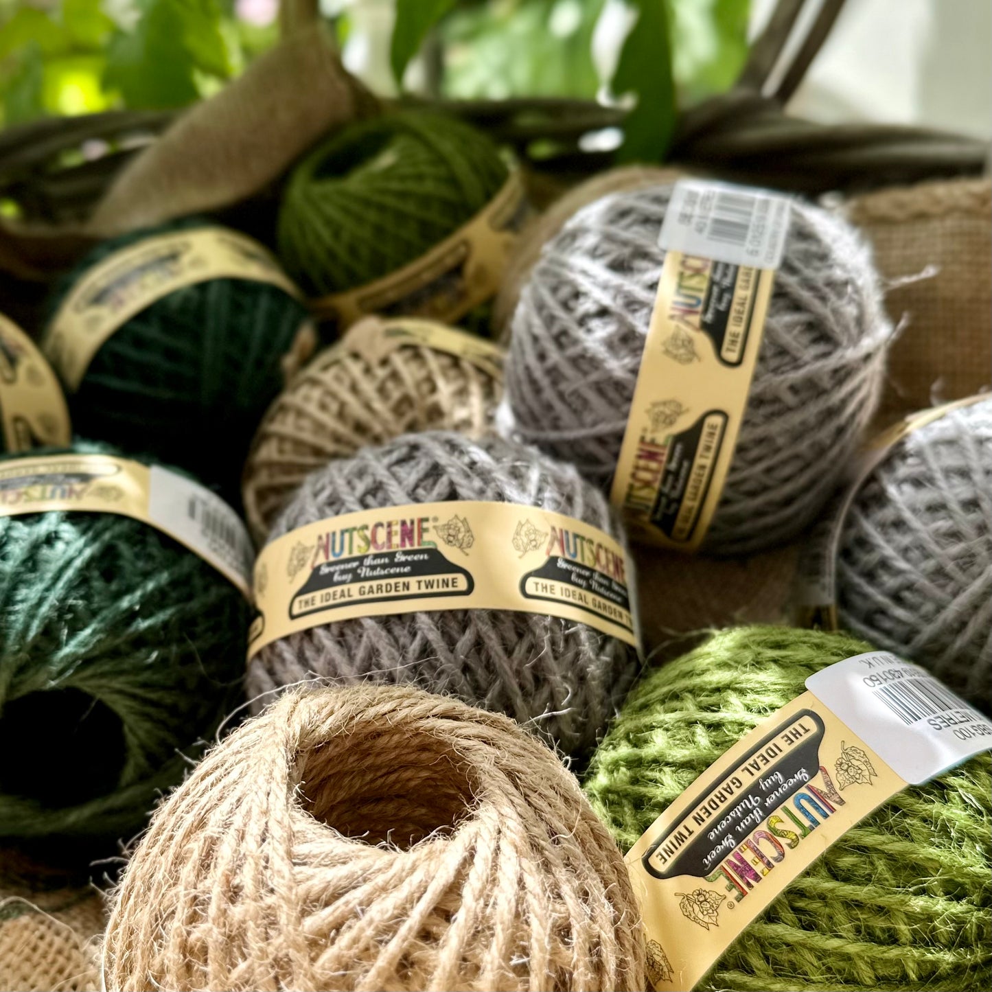 NUTSCENE Twine -Small