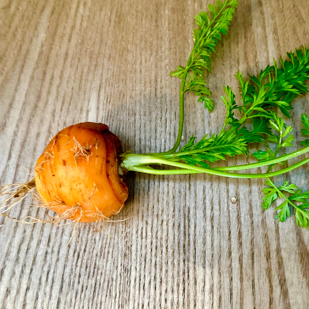 Carrot 'Paris Market' Seeds