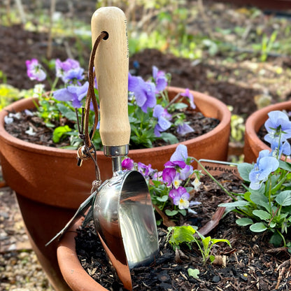 Burgon & Ball RHS Stainless Steel Compost Scoop