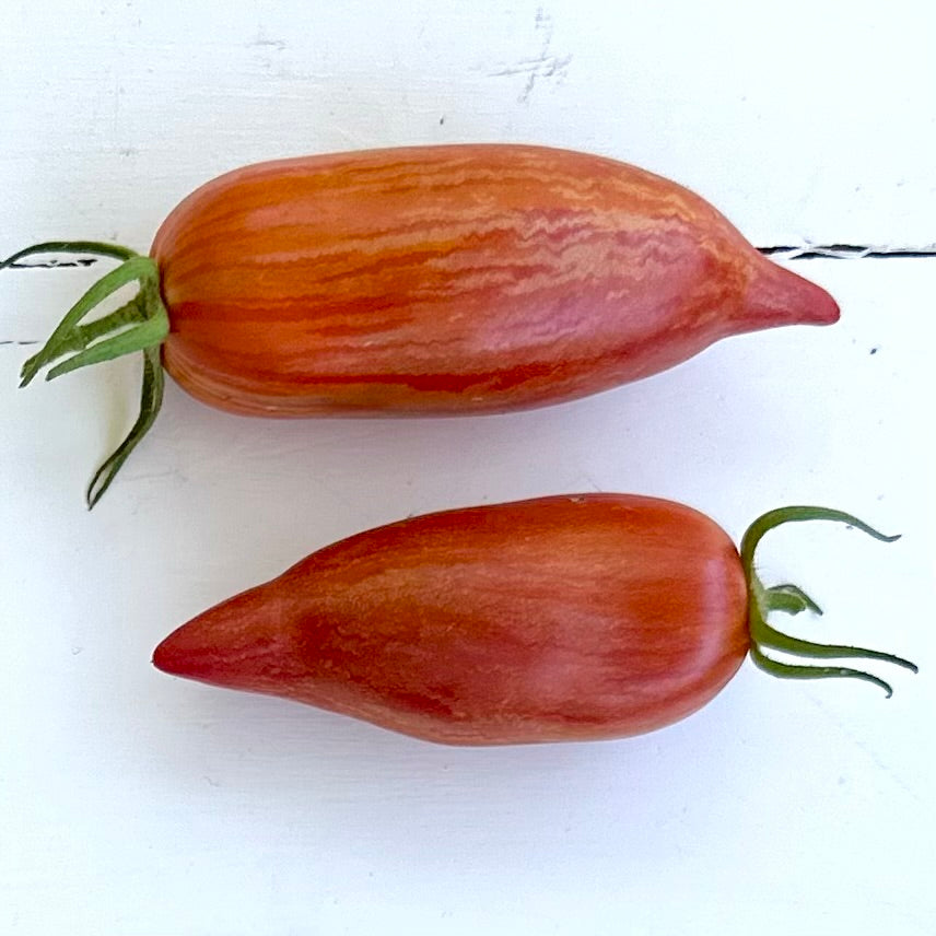 Tomato 'Marzano Fire’ 25 Seeds