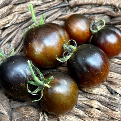 Tomato ‘Cosmic Eclipse’ Seeds COMING SOON