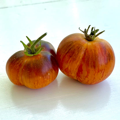 Tomato 'Alice's Dream’ 25 Seeds COMING SOON