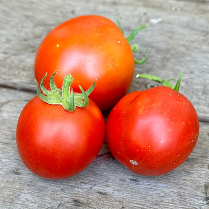 Tomato 'Walter' Seeds