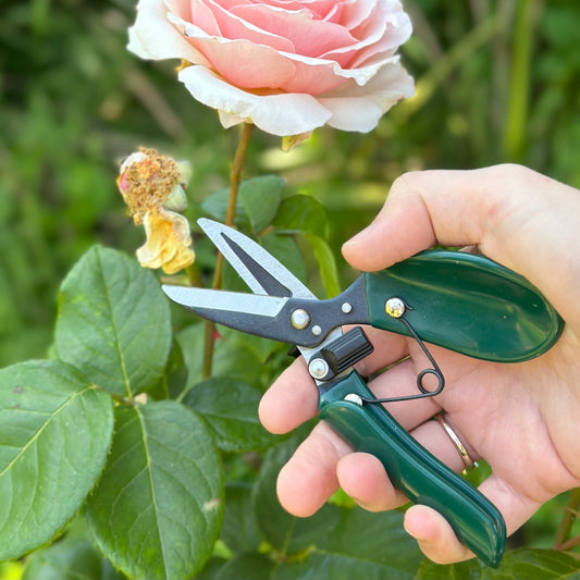 Burgon & Ball RHS Ergo Deadheader