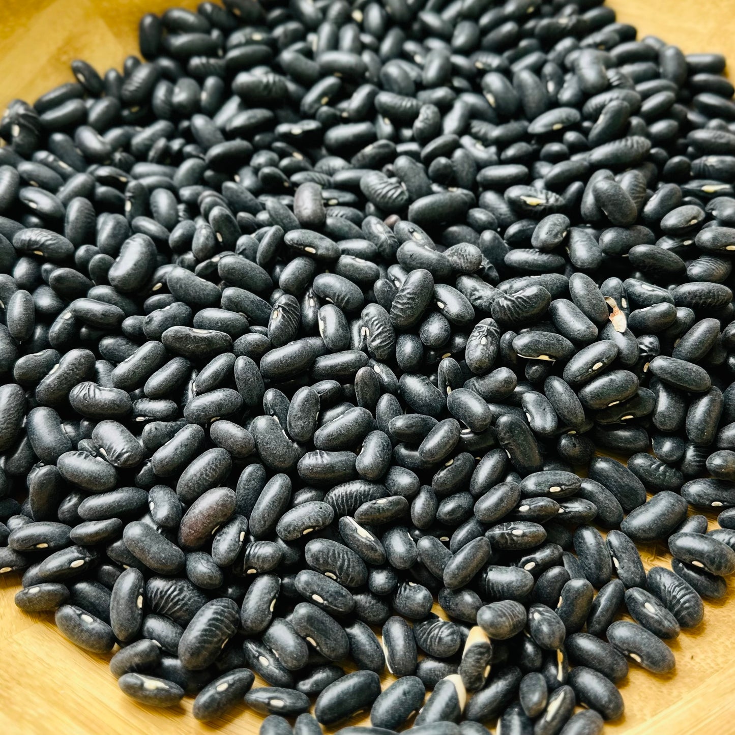 Bush Bean 'Cherokee Wax' Seeds