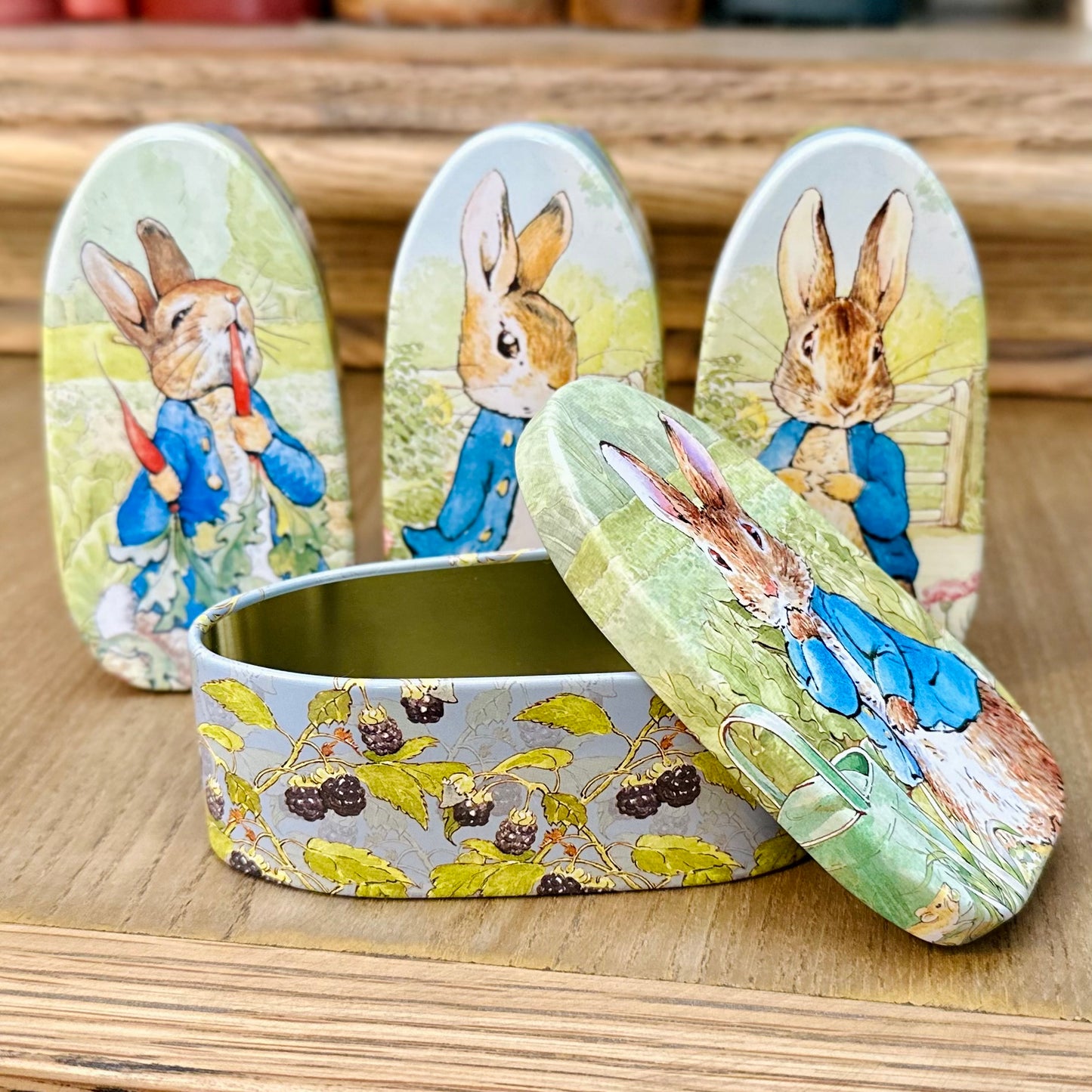 Peter Rabbit Character Collectable Tin- Small