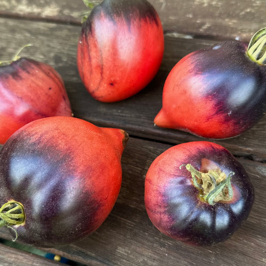 Tomato 'Sgt Peppers’ 25 Seeds