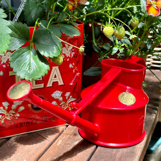 Haws Plastic Heritage Watering Can "The Langley Sprinkler" One Pint