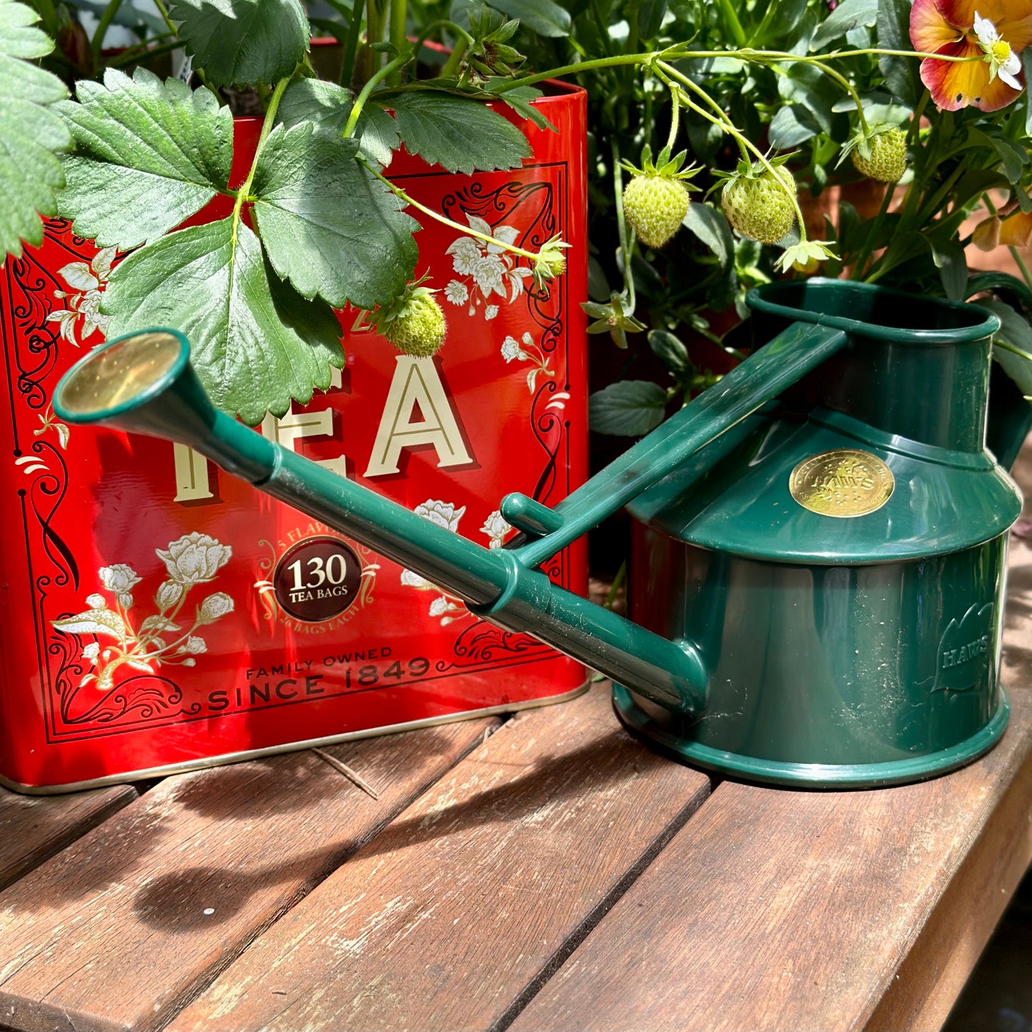 Haws Plastic Heritage Watering Can "The Langley Sprinkler" One Pint