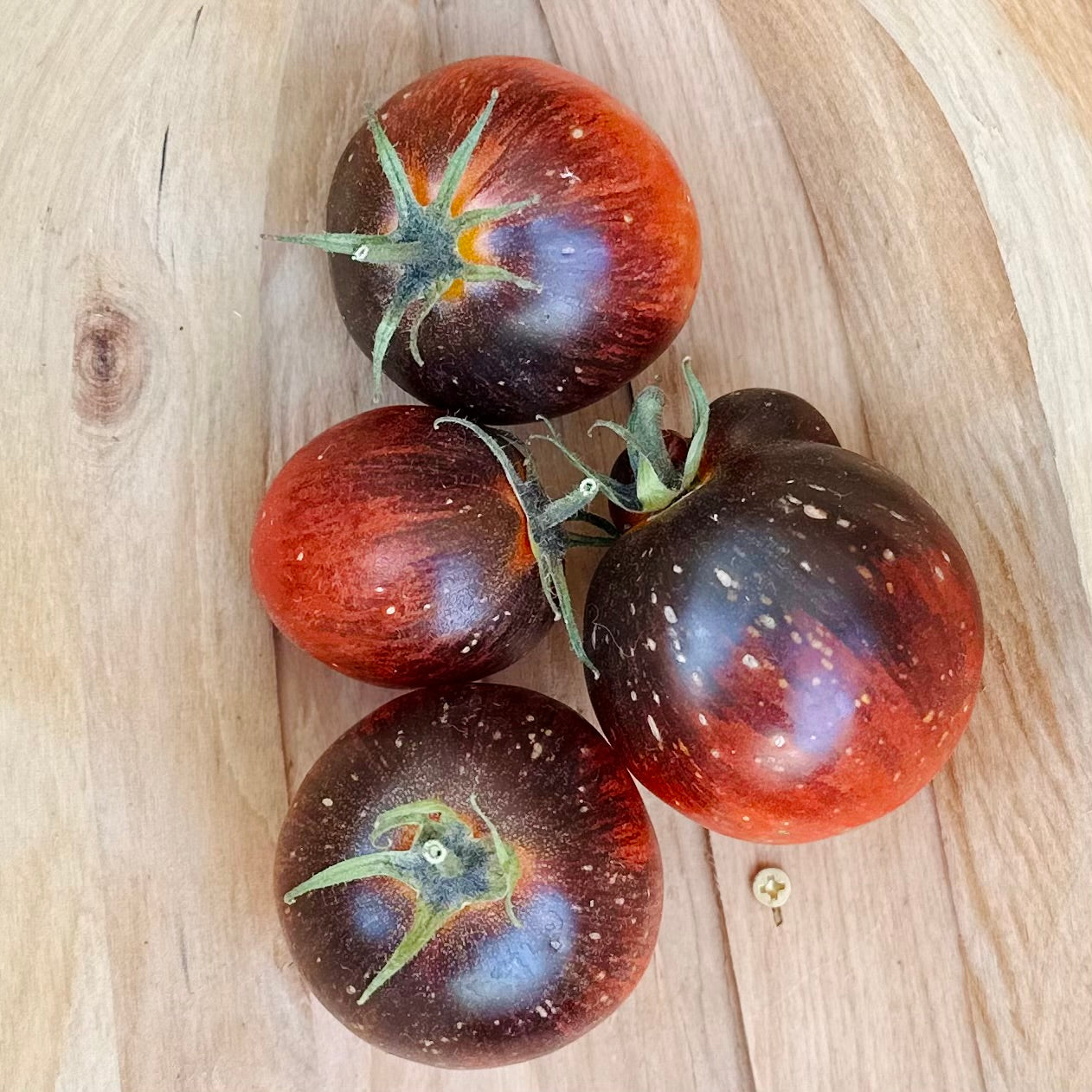 Tomato 'Dark Galaxy’ Seeds COMING SOON