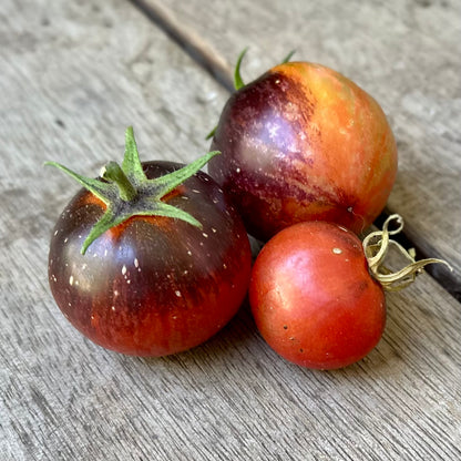 Tomato 'Dark Galaxy’ Seeds COMING SOON