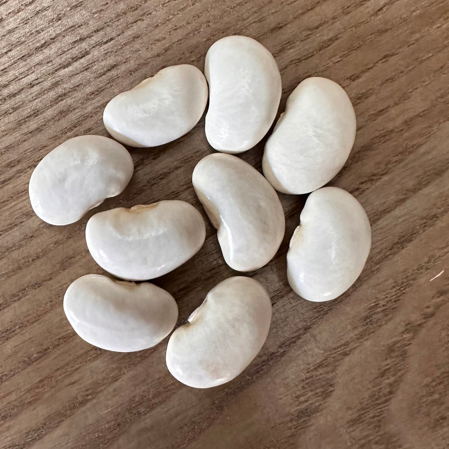 Runner Bean 'White Lady’ Seeds