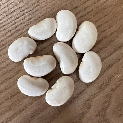 Runner Bean 'White Lady’ Seeds