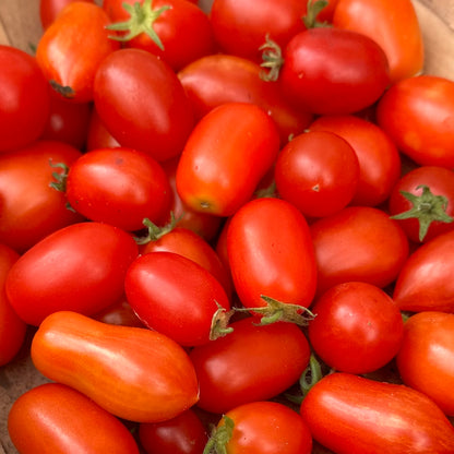 Micro Tomato ‘Laura’ 25 Seeds