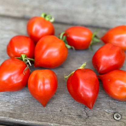 Tomato 'Geranium Kiss’ Seeds
