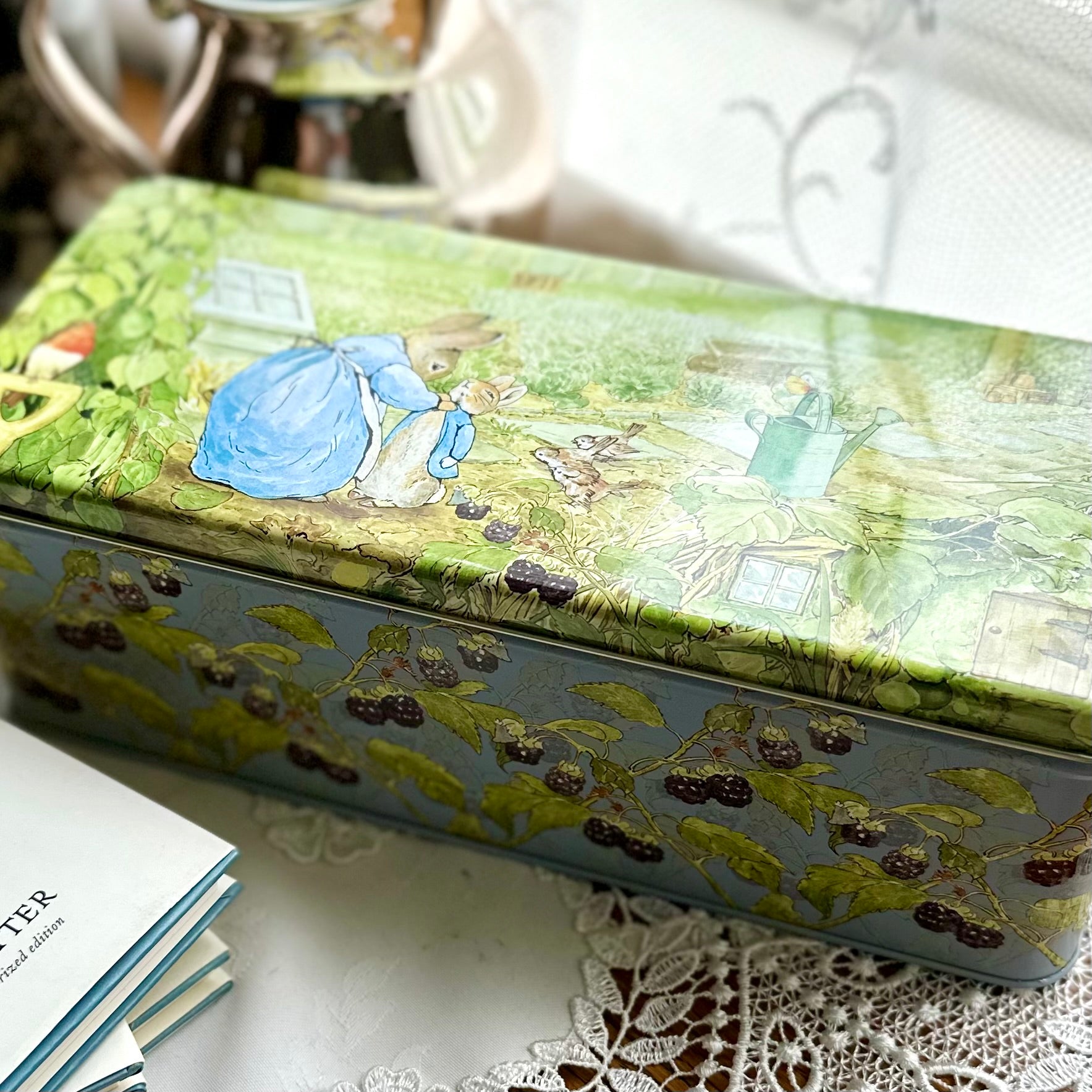 Peter Rabbit Long Rectangle Tin with Hinged Lid – Hollyhock Hill
