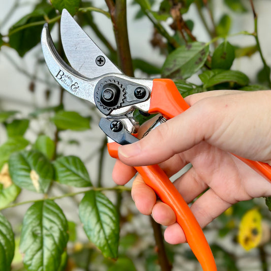 Burgon & Ball RHS Bypass Secateur
