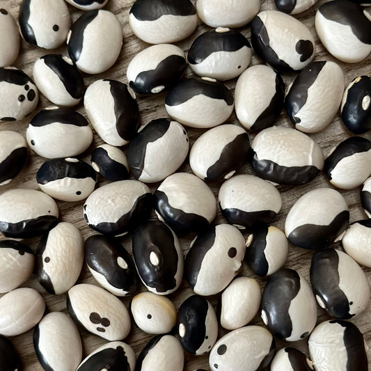 Bush Bean 'Yin Yang' Seeds