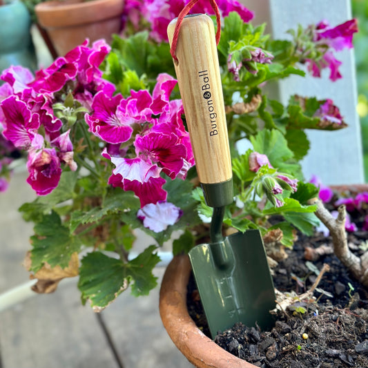 Burgon and Ball RHS BoronGreen Transplanter