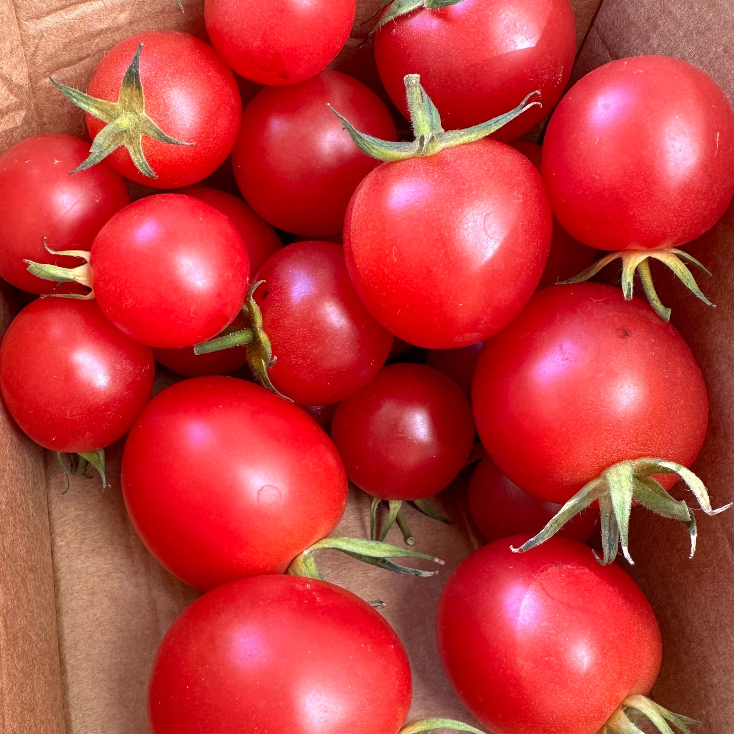 Tomato 'Rose De Berne’ 30 Seeds