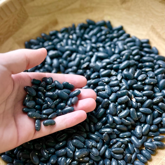 Bush Bean 'Cherokee Wax' Seeds