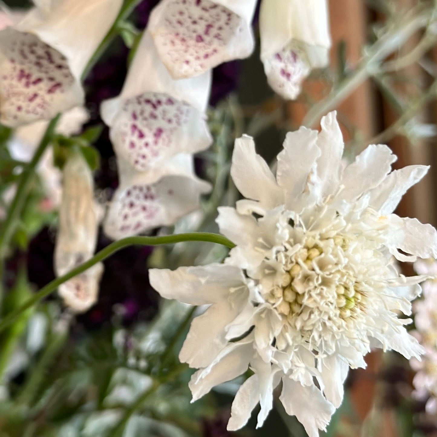 Cottage Garden Flower Mix 10g Seeds
