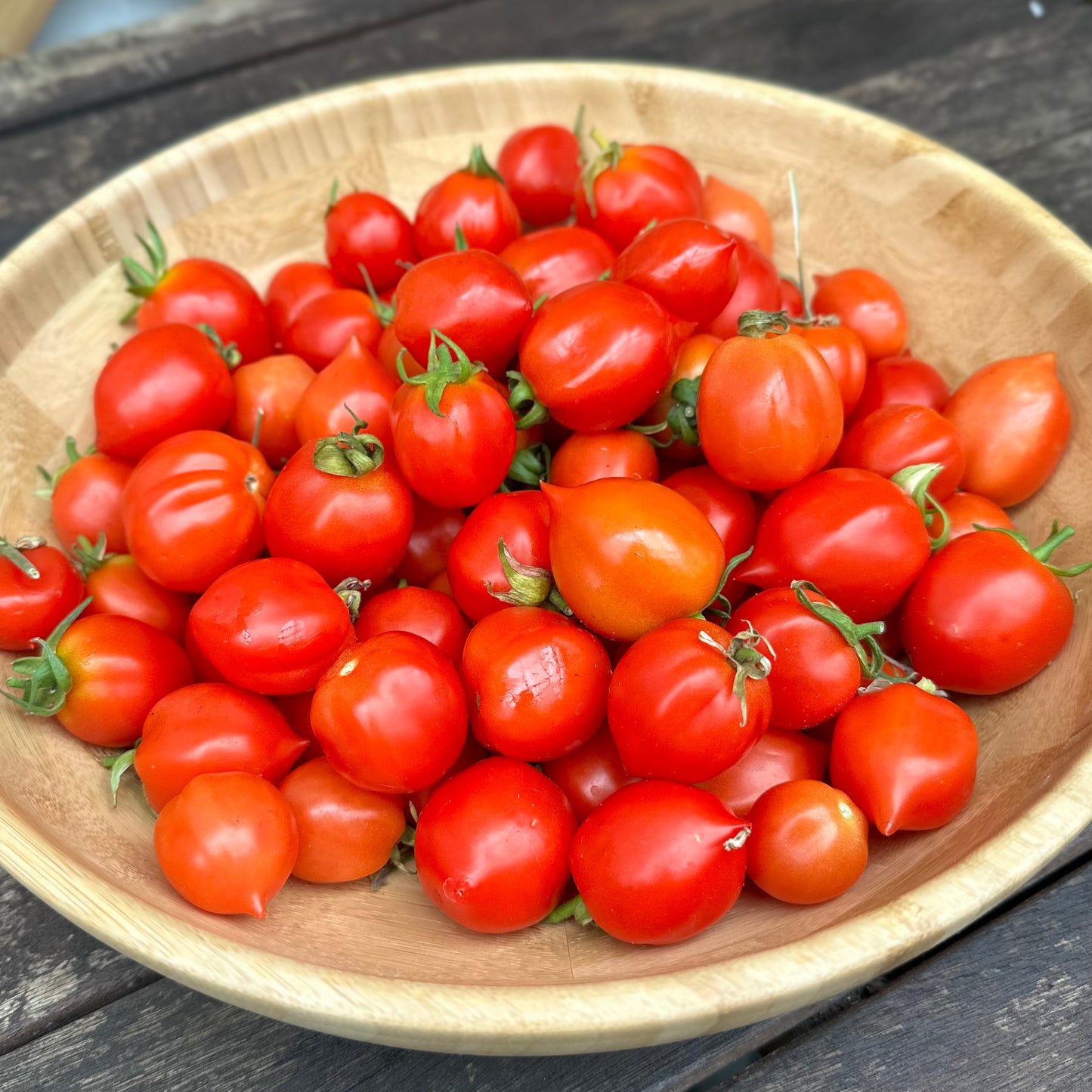 Tomato 'Geranium Kiss’ Seeds