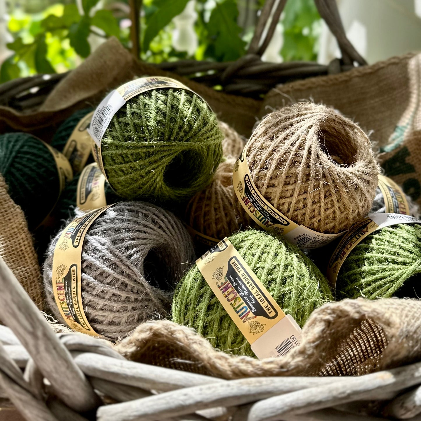 NUTSCENE Twine -Small