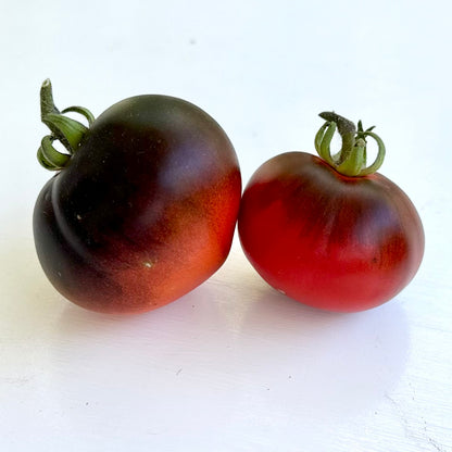 Tomato 'Blue Chocolate’ 25 Seeds COMING SOON