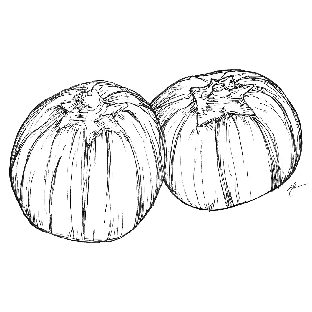 Eggplant 'Red square’ Seeds