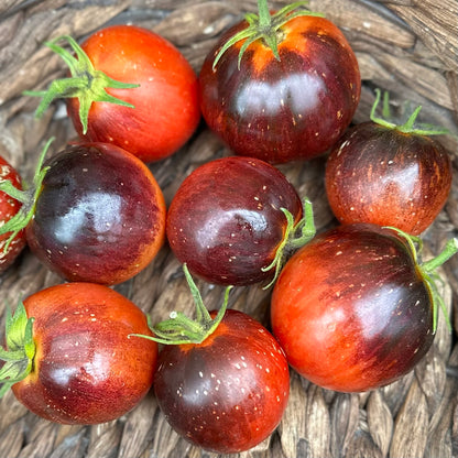 Tomato 'Dark Galaxy’ Seeds COMING SOON