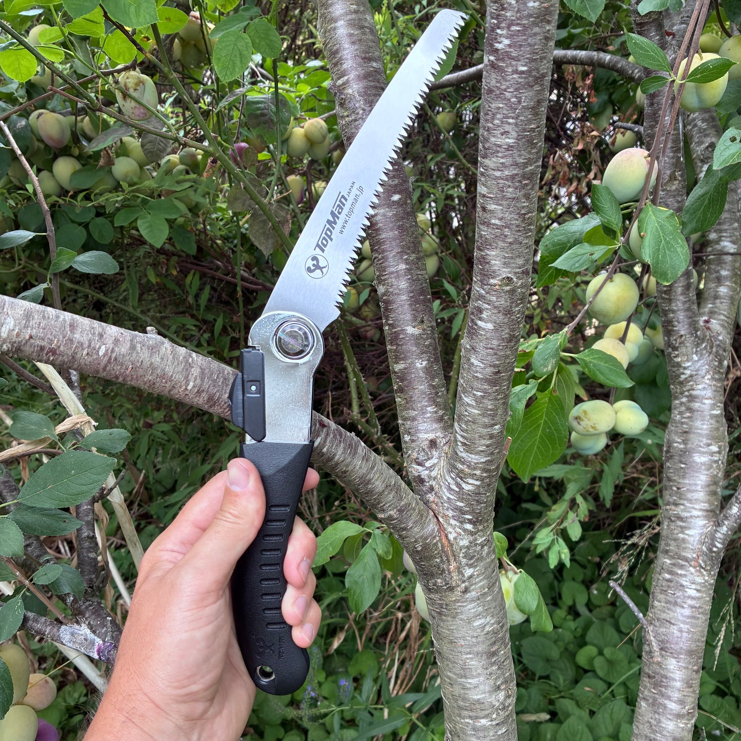 Topman 18cm Japanese Folding Speed Saw